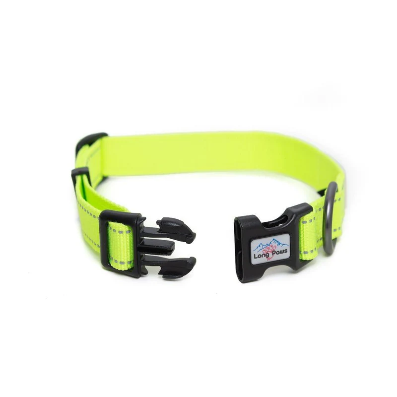 Neon Dog Collar | Hi Viz
