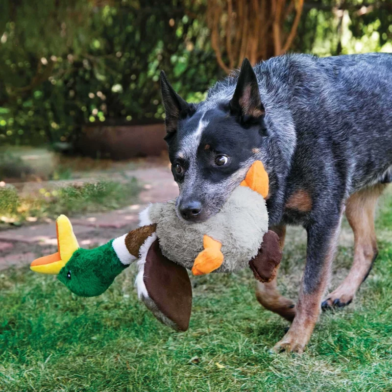 KONG Shakers Honkers Duck Dog Toy - Large