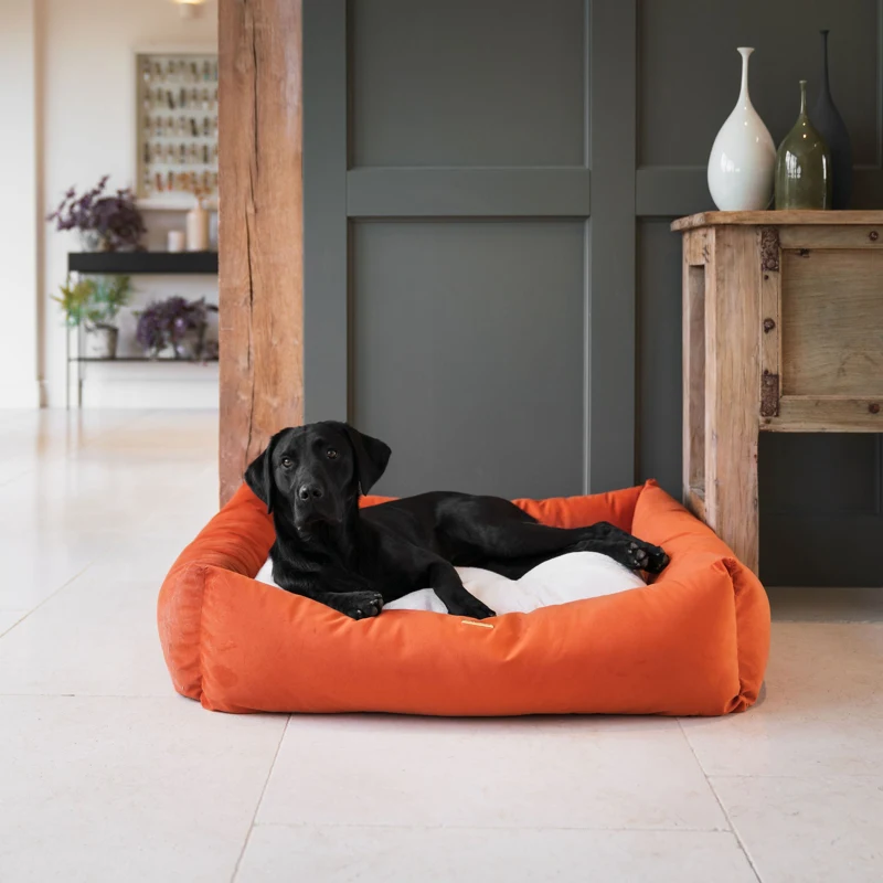 Box Bed With Removable Covers In Pumpkin Velvet