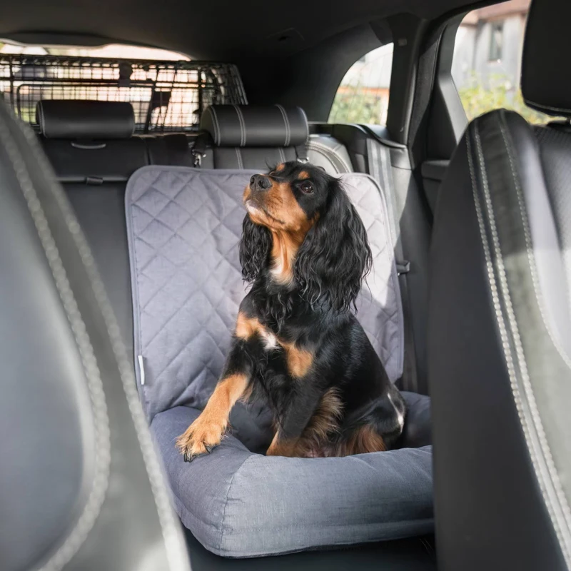 Travel Seat Snoozer